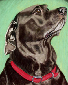 Fine Art Pet Portrait by Artist Donna Aldrich-Fontaine - OJ Dog.jpg